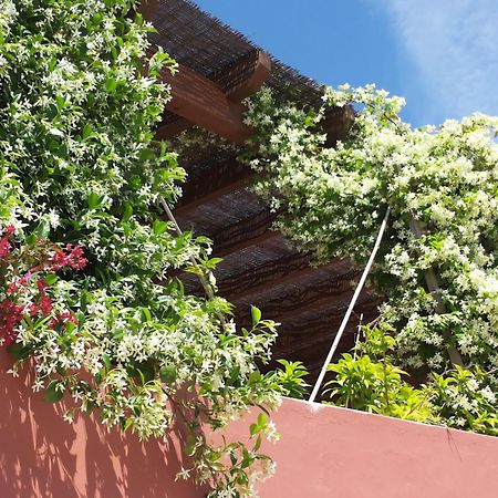 Gato Preto De Silves - Adults Only Bed & Breakfast Exterior photo