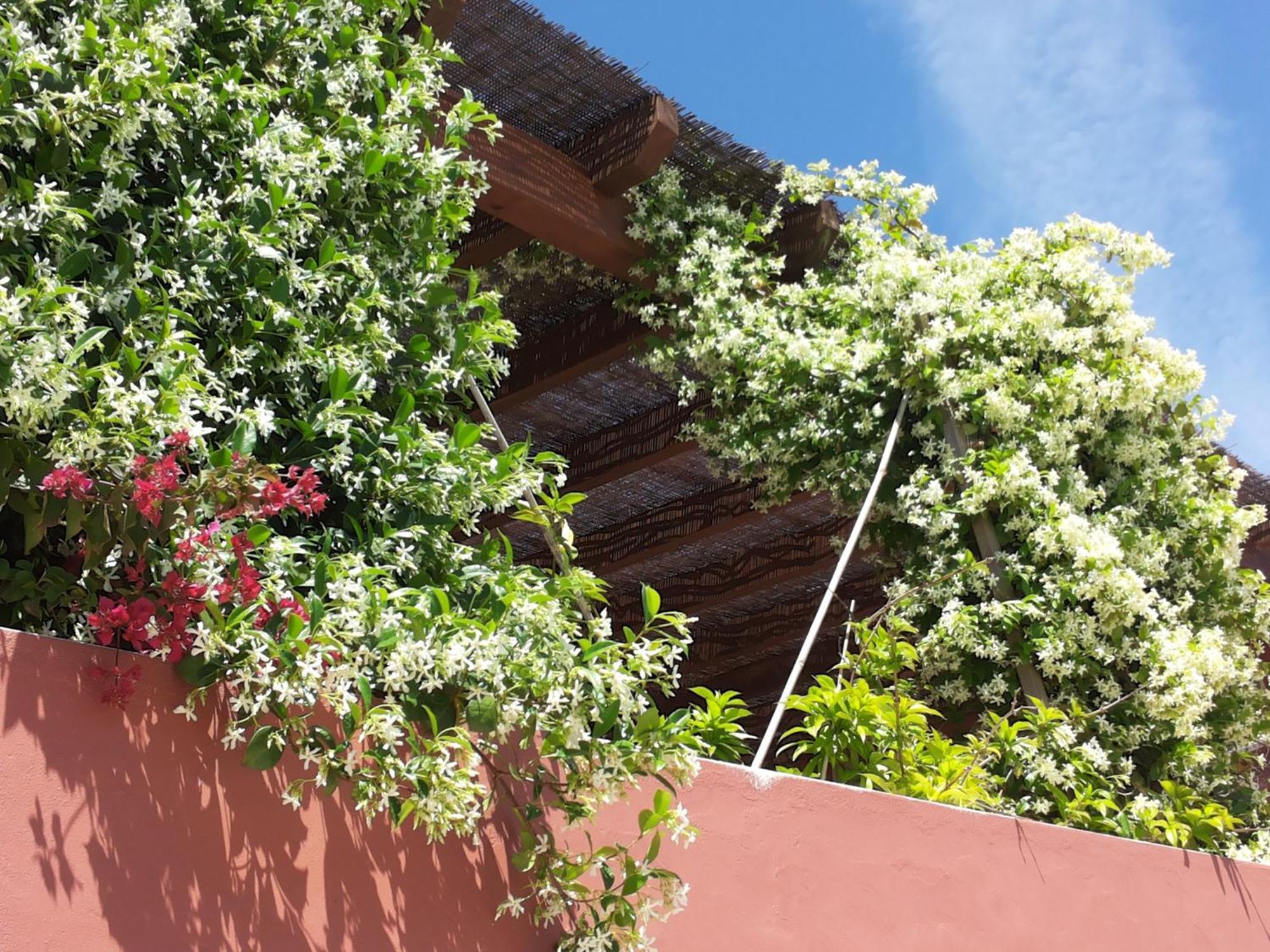 Gato Preto De Silves - Adults Only Bed & Breakfast Exterior photo